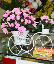 Xe đạp hoa